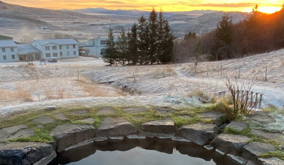 MAPS Therapy Educational Program in Iceland in November 2023